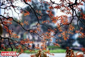 Hà Nội lọt tốp 10 thành phố tăng trưởng du lịch nhanh nhất thế giới