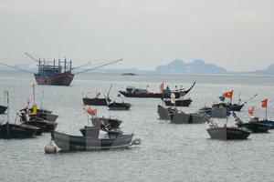 Phân bổ hạn ngạch khai thác nguồn lợi thủy sản cho địa phương
