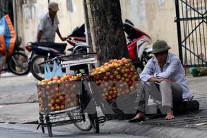 Miền Bắc oi nóng nhất cả nước, miền Nam có mưa lớn diện rộng