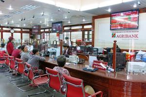Agribank hỗ trợ khách hàng bị ảnh hưởng bởi bão số 10