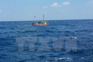 Các địa phương Quảng Ninh đến Cà Mau ứng phó với gió mạnh, sóng lớn