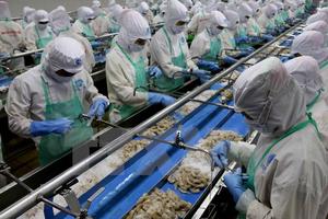EU rút thẻ vàng đối với hoạt động khai thác thủy sản của Việt Nam