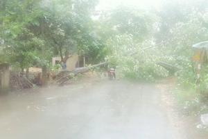 Mưa lớn ở nhiều nơi, nguy cơ cao ngập lụt ở Trung và Nam Bộ