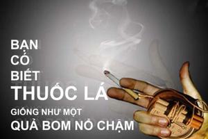 Thuốc lá ảnh hưởng nghiêm trọng đến khả năng sinh sản