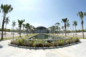 Năm APEC 2017 thể hiện tầm nhìn chiến lược của Việt Nam