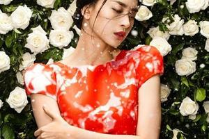 Ngô Thanh Vân - 'Bà trùm' giàu ngầm của showbiz Việt