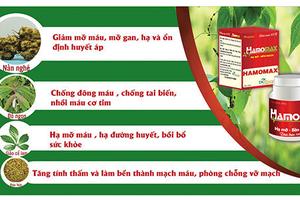 Quảng cáo thực phẩm Hamomax không đúng quy định, bị phạt 85 triệu đồng