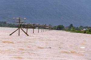 Đê sông Hoàng bị vỡ, 2.000 nhân khẩu ngập trong lũ