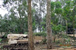 3 đời Chủ tịch vẫn “cấp nhầm” trích lục cho 1 thửa đất?