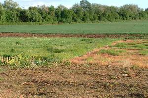 Bà Đoài khiếu nại không có cơ sở