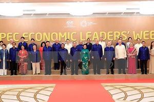  APEC 2017: Chủ tịch nước Trần Đại Quang đã khẳng định vị thế Việt Nam 