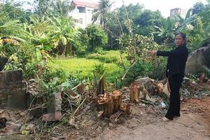 Sẽ xử lý nghiêm vụ hủy hoại tài sản tại huyện Lập Thạch