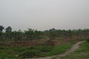 Kiến nghị thu hồi hàng triệu m2 đất nông, lâm trường quốc doanh