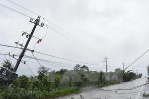 EVN đã khôi phục hoàn toàn lưới điện truyền tải 200kV và 500kV