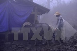 Không khí lạnh tăng cường, vùng núi phía Bắc có nơi dưới 9 độ C