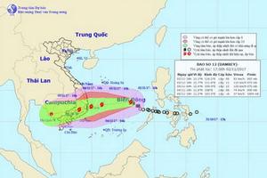 Bão số 12 giật cấp 11 cách bờ biển Khánh Hòa-Ninh Thuận 800km