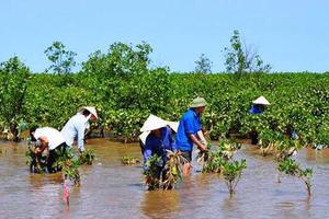 Ứng phó với biến đổi khí hậu và tăng trưởng xanh