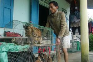 Chủ động ứng phó với áp thấp nhiệt đới, mưa lũ và không khí lạnh