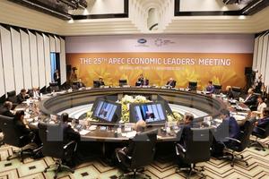 APEC 2017: Báo chí Arab đánh giá tích cực vai trò chủ nhà của Việt Nam