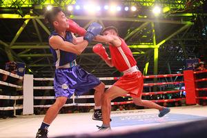 Người Sài Gòn mãn nhãn với sàn đấu boxing 