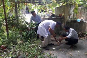 Hà Nội: Số ca mắc sốt xuất huyết tiếp tục giảm