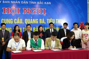 Đẩy mạnh kết nối, quảng bá, tiêu thụ nông sản