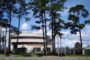 Giám đốc Đài PTTH Lâm Đồng mắc nhiều lỗi trong quản lý, điều hành