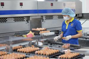 Vietcombank tiếp tục đồng hành để phát triển nguồn thực phẩm sạch