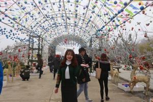 Đến Sun World Fansipan Legend chiêm ngưỡng những cây thông Noel đặc biệt chưa từng có