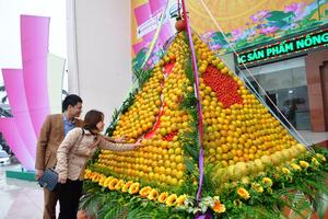 Lễ hội Cam và các sản phẩm nông nghiệp của Hà Tĩnh