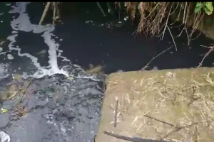 Nhà máy chế biến gỗ hiện đại nhất Đông Nam Á gây ô nhiễm nặng