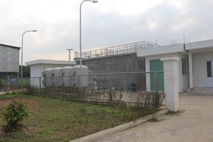 Nhà máy Chế biến gỗ Nghệ An tập trung xử lý môi trường 