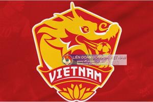 Fan Đông Nam Á nói gì về huy hiệu mới của ĐT Việt Nam?