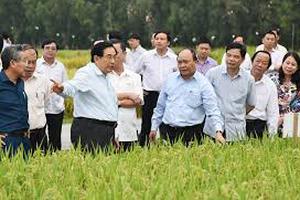 Phát triển bền vững ĐBSCL: Ưu tiên thủy sản, cây ăn trái, lúa