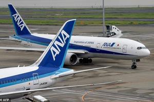 Máy bay chở hơn 226 người phải quay đầu vì lấy nhầm khách