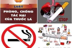 Kinh nghiệm quốc tế trong phòng, chống tác hại của thuốc lá