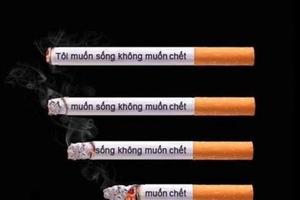 Thuốc lá nhẹ - hậu quả lớn