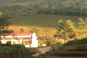 Kịp thời ngăn chặn thất thoát