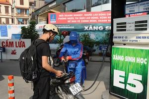 Sẵn sàng mọi phương án đưa xăng E5 ra thị trường