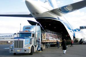 Dịch vụ logistics Việt Nam chi phí còn cao, chiếm thị phần nhỏ