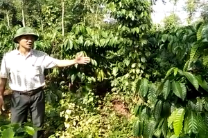 Nghe lời xúi giục, người dân đã vi phạm pháp luật