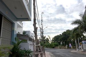 Kon Tum: Máy móc trong việc trồng cây xanh đô thị 