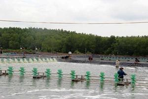 Phát triển kinh tế bền vững từ nguồn vốn ưu đãi của Agribank Đồng Nai