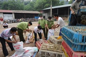 Chi cục Quản lý thị trường Yên Bái: Thu nộp ngân sách gần 4,6 tỷ đồng