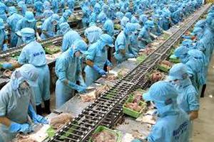 Quy định chi tiết về các biện pháp phòng vệ thương mại