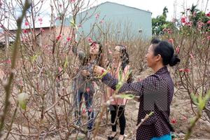 Miền Bắc nắng ấm thêm 2 ngày trước khi bước vào đợt rét mới