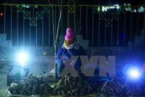 Miền Bắc sắp đón đợt rét đậm, nhiệt độ giảm còn 10 độ C