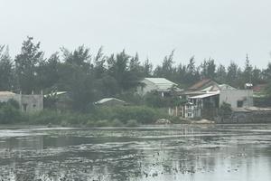 Bài 2: Người trong cuộc nói gì?