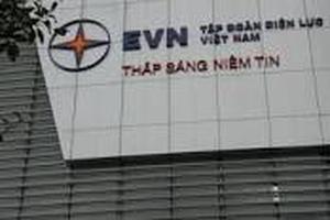 Thanh tra tài chính tại EVN