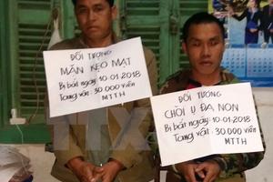 Quảng Bình: Phá chuyên án mua bán 30.000 viên ma túy tổng hợp